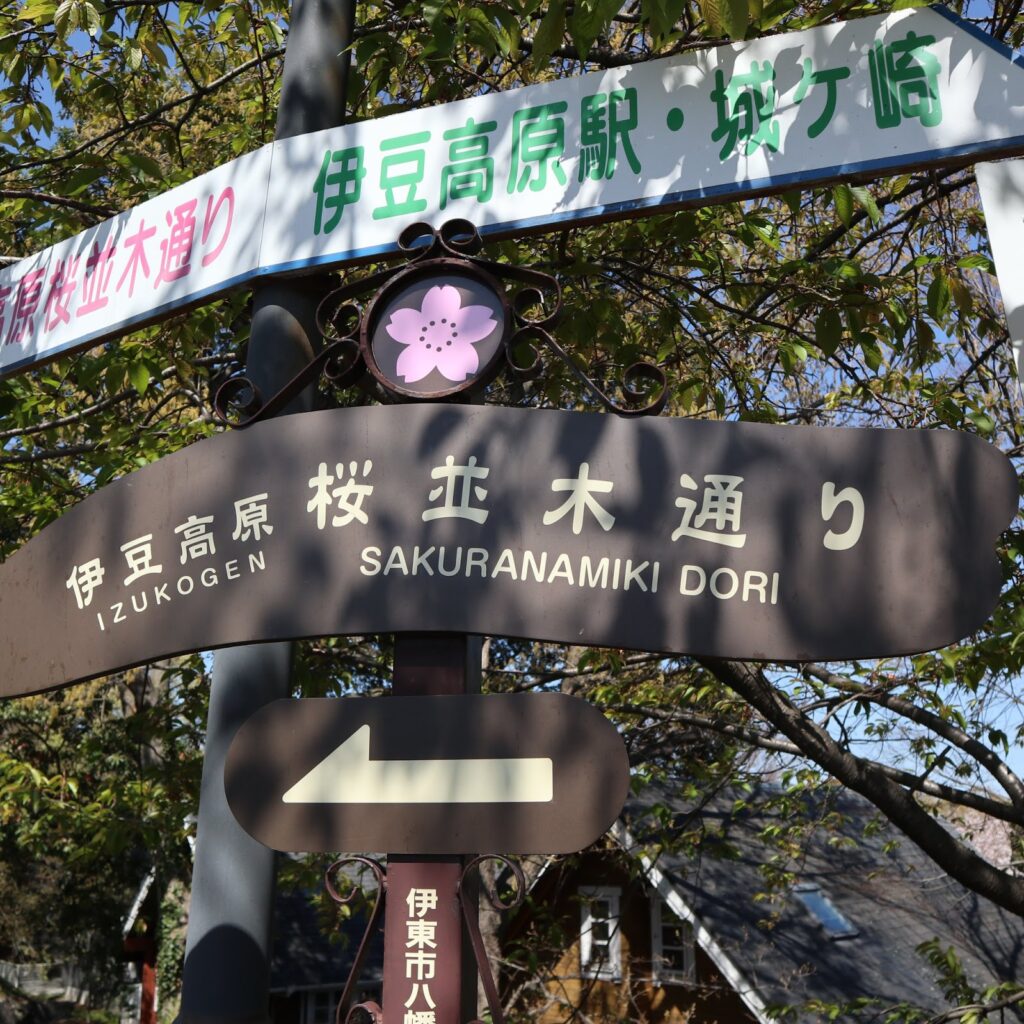Skilt der viser vej til kirsebærblomsterne i Izu-kogen. 