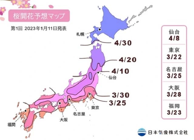 Prognose for kirsebærblomster i Japan.