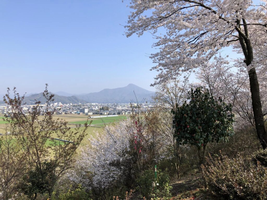 Kirsebærblomster og udsigt fra Funayama Taishido i Takefu, Fukui. 