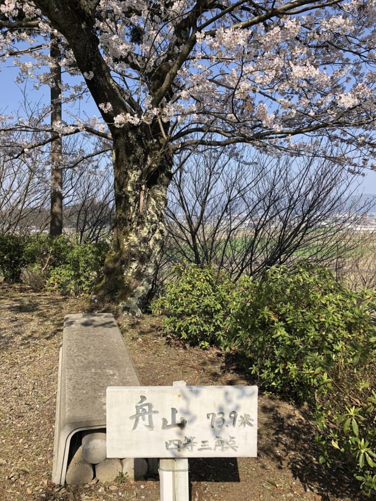 Kirsebærblomster på toppen af Funayama Taishido i Takefu, Fukui. 