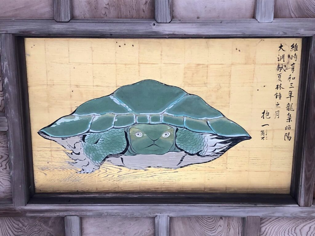 Skildpadde i loftet på en af helligdommene der hører under Enoshima Shrine. 