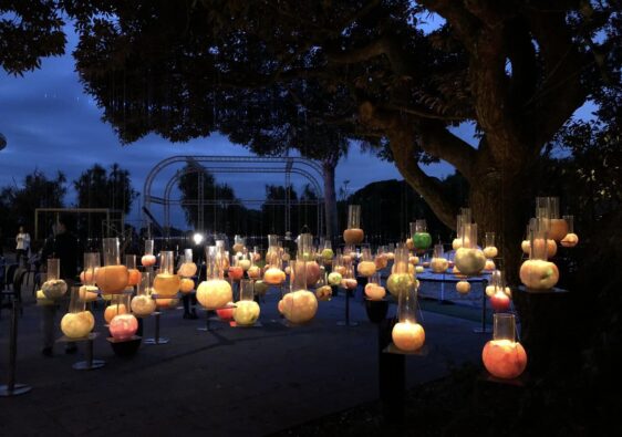 Svævende lys i Samuel Cocking Garden på øen Enoshima.